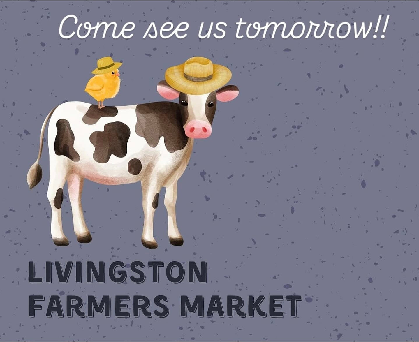 Livingston Market