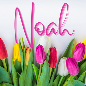 Noah Candle